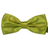 olive_bow_tie